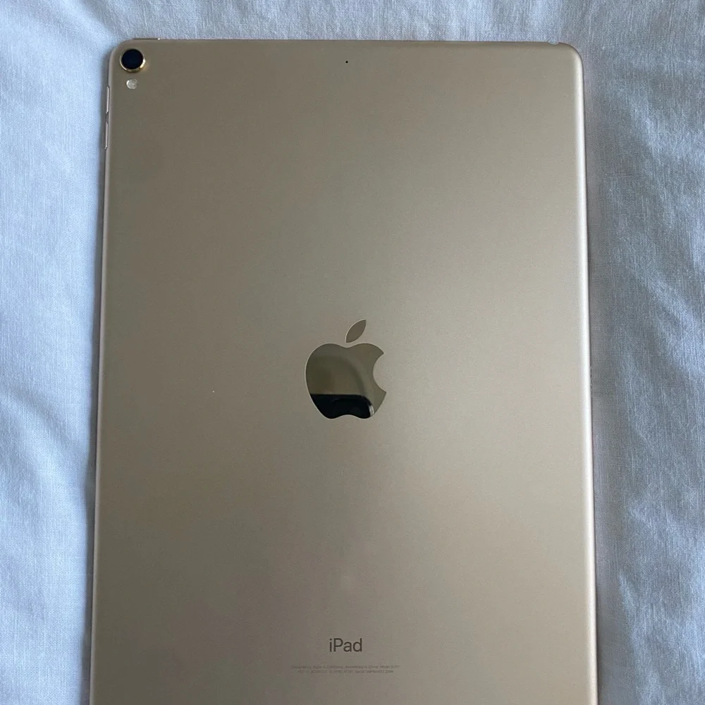 iPad Pro 10.9 inch Gold w/ Apple Pencil, Case and Extra pencil tips